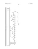 Peptides for Treatment of Obesity diagram and image