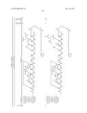 Peptides for Treatment of Obesity diagram and image