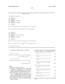 Peptides for Treatment of Obesity diagram and image