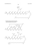 Peptides for Treatment of Obesity diagram and image