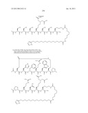 Peptides for Treatment of Obesity diagram and image