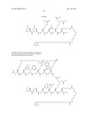 Peptides for Treatment of Obesity diagram and image