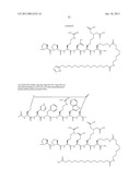 Peptides for Treatment of Obesity diagram and image