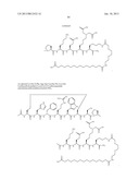 Peptides for Treatment of Obesity diagram and image