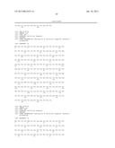 MULTIVALENT FIBRONECTIN BASED SCAFFOLD DOMAIN PROTEINS diagram and image