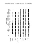 MULTIVALENT FIBRONECTIN BASED SCAFFOLD DOMAIN PROTEINS diagram and image