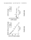 MULTIVALENT FIBRONECTIN BASED SCAFFOLD DOMAIN PROTEINS diagram and image