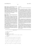 MULTIVALENT FIBRONECTIN BASED SCAFFOLD DOMAIN PROTEINS diagram and image