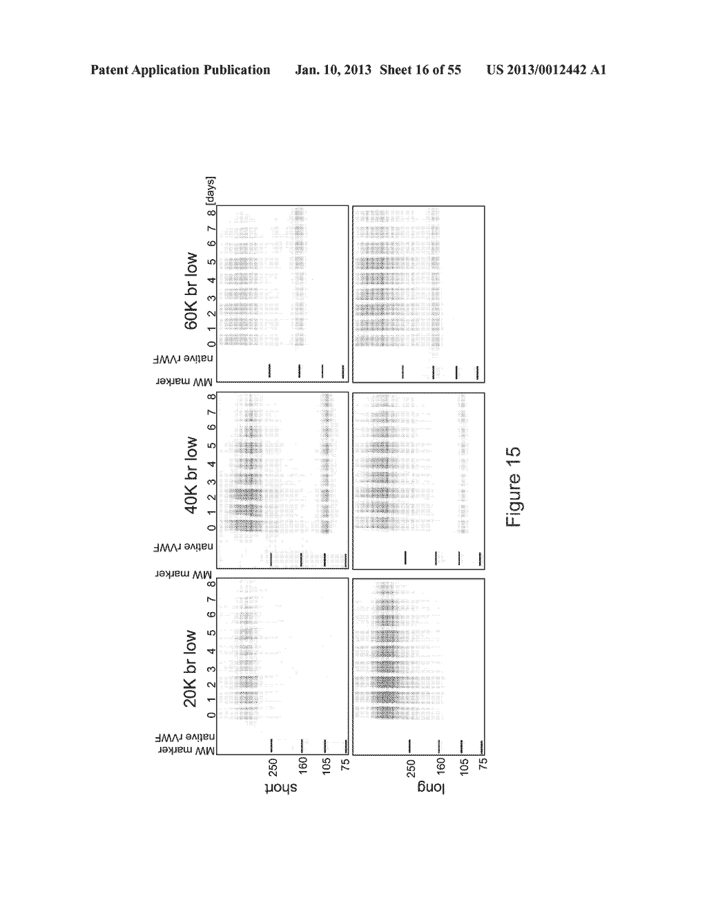 VON WILLEBRAND FACTOR-  AND FACTOR VIII-POLYMER CONJUGATES HAVING A     RELEASABLE LINKAGE - diagram, schematic, and image 17