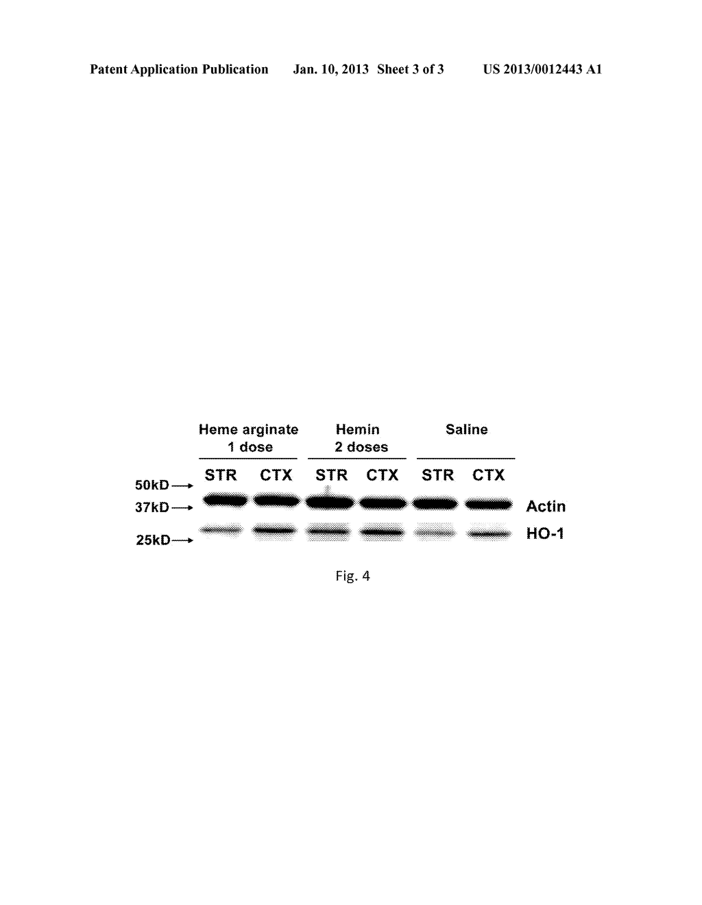 METHODS OF TREATMENT OF CENTRAL NERVOUS SYSTEM HEMORRHAGE USING     PROTOPORPHYRIN IX-FE COMPOUNDS - diagram, schematic, and image 04