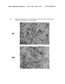 INTRAVENOUS FORMULATION WITH WATER-SOLUBLE COCRYSTALS OF ACETYLSALICYLIC     ACID AND THEANINE diagram and image