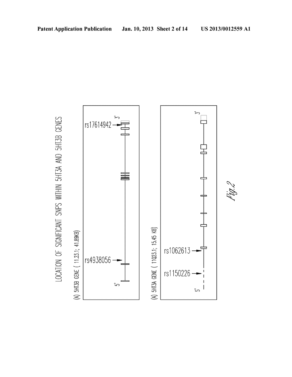 MOLECULAR GENETIC APPROACH TO TREATMENT AND DIAGNOSIS OF ALCOHOL AND DRUG     DEPENDENCE - diagram, schematic, and image 03