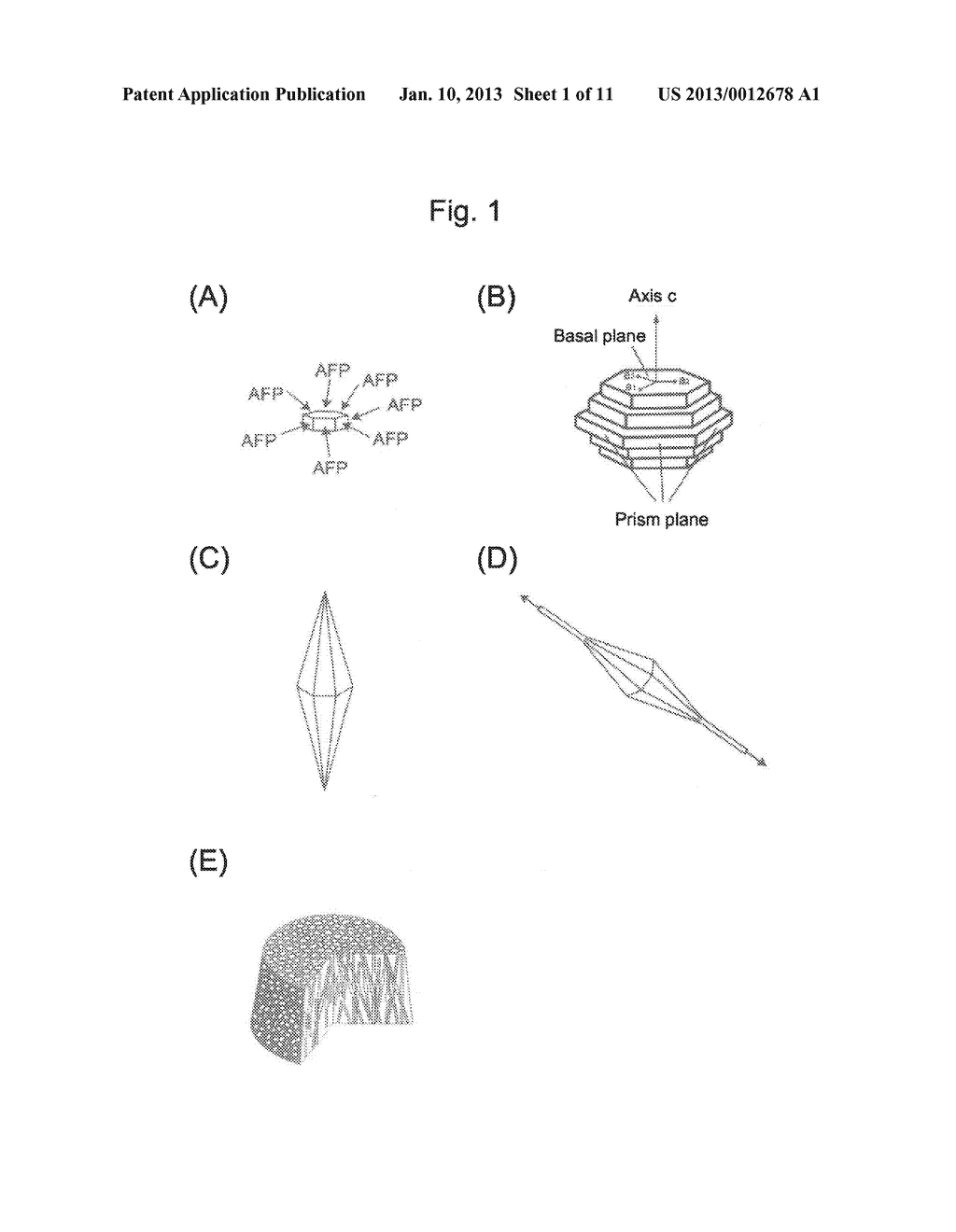METHOD FOR PRODUCING POROUS MATERIAL USING ANTIFREEZE PROTEIN - diagram, schematic, and image 02