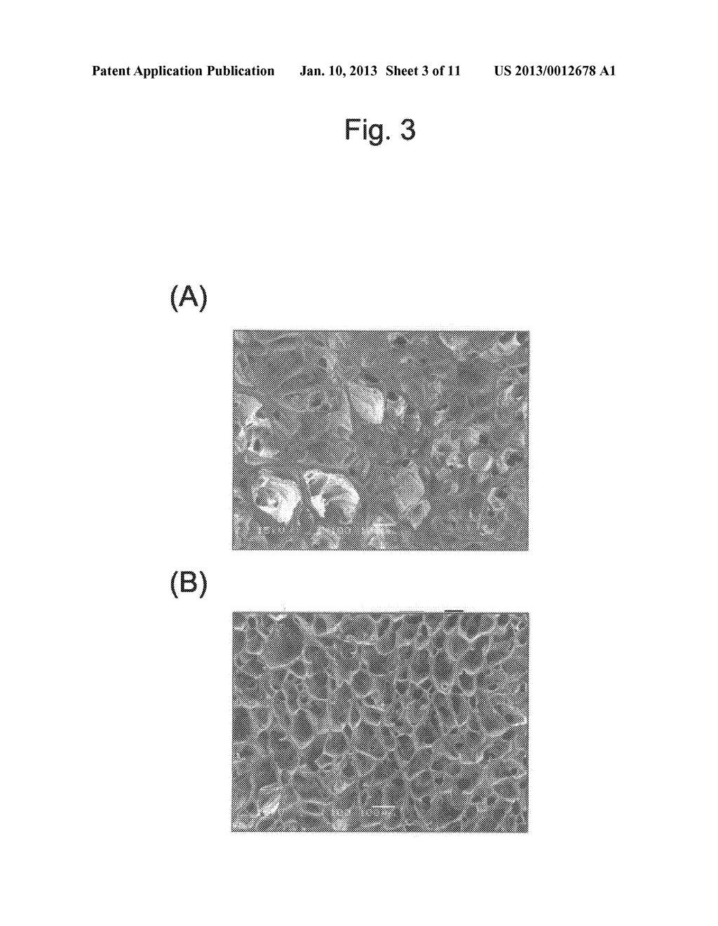 METHOD FOR PRODUCING POROUS MATERIAL USING ANTIFREEZE PROTEIN - diagram, schematic, and image 04