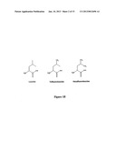 METHOD FOR STABILIZATION OF PROTEINS USING NON-NATURAL AMINO ACIDS diagram and image