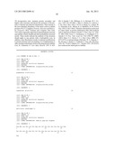 METHOD FOR STABILIZATION OF PROTEINS USING NON-NATURAL AMINO ACIDS diagram and image