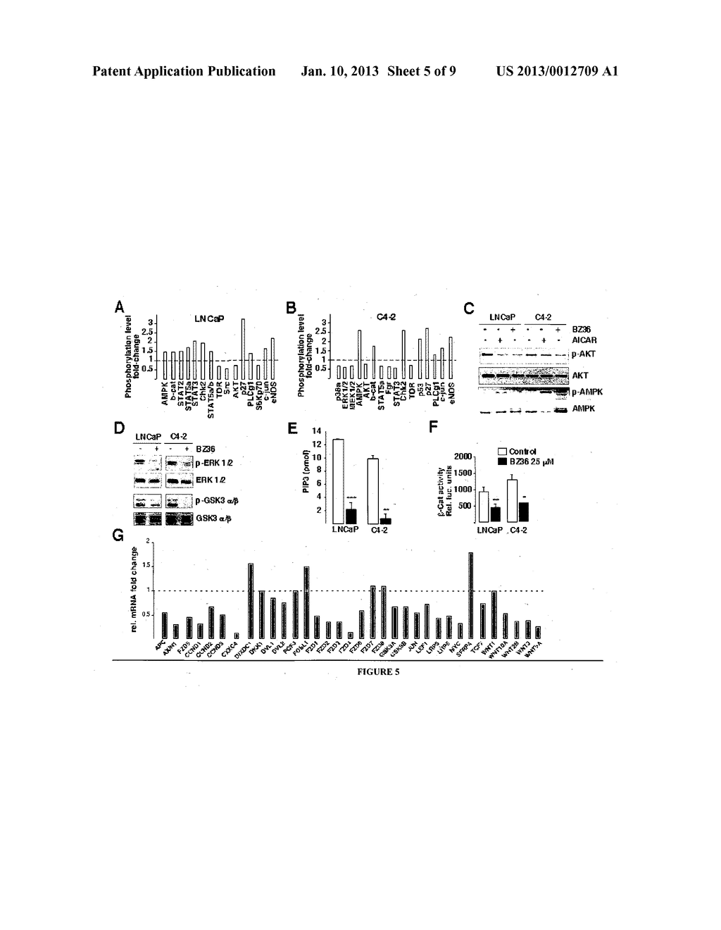 NOVEL INHIBITORS OF STEAROYL-CoA-DESATURASE-1 AND THEIR USES - diagram, schematic, and image 06