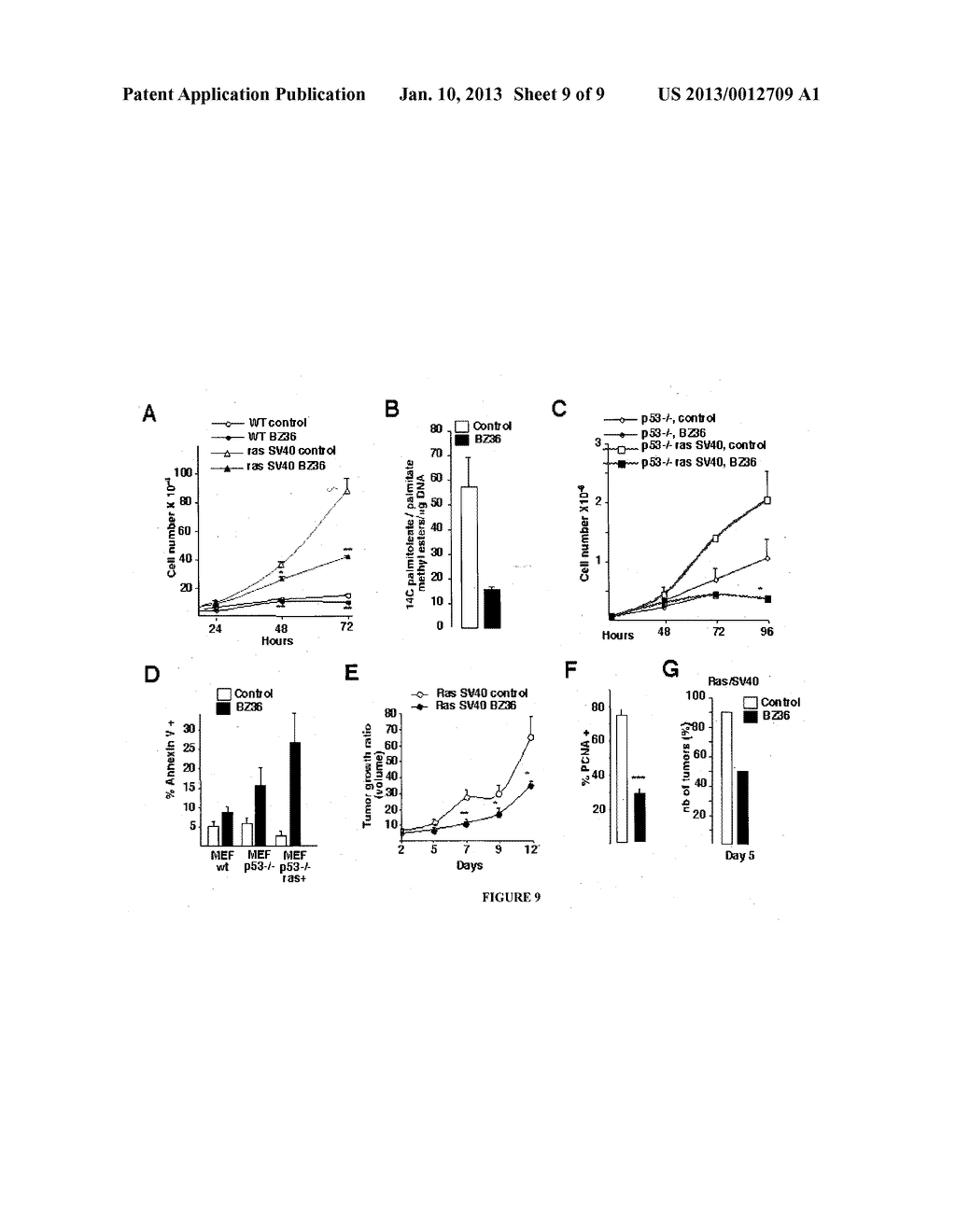 NOVEL INHIBITORS OF STEAROYL-CoA-DESATURASE-1 AND THEIR USES - diagram, schematic, and image 10