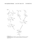 TOTAL SYNTHESIS OF SALINOSPORAMIDE A AND ANALOGS THEREOF diagram and image