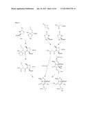 TOTAL SYNTHESIS OF SALINOSPORAMIDE A AND ANALOGS THEREOF diagram and image