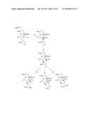 TOTAL SYNTHESIS OF SALINOSPORAMIDE A AND ANALOGS THEREOF diagram and image