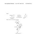 TOTAL SYNTHESIS OF SALINOSPORAMIDE A AND ANALOGS THEREOF diagram and image