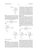 TOTAL SYNTHESIS OF SALINOSPORAMIDE A AND ANALOGS THEREOF diagram and image