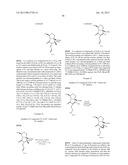 TOTAL SYNTHESIS OF SALINOSPORAMIDE A AND ANALOGS THEREOF diagram and image