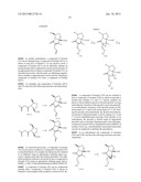 TOTAL SYNTHESIS OF SALINOSPORAMIDE A AND ANALOGS THEREOF diagram and image