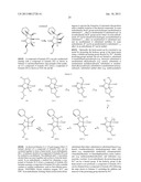 TOTAL SYNTHESIS OF SALINOSPORAMIDE A AND ANALOGS THEREOF diagram and image