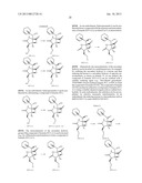 TOTAL SYNTHESIS OF SALINOSPORAMIDE A AND ANALOGS THEREOF diagram and image