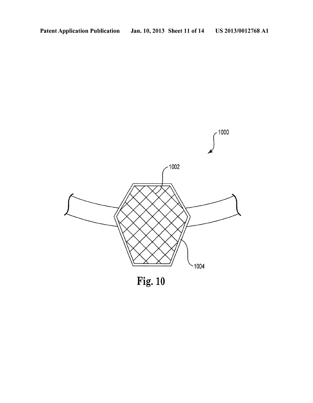 BIOABSORBABLE MESH FOR SURGICAL IMPLANTS - diagram, schematic, and image 12