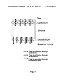 NON-INVASIVE SENSOR FOR DETERMINING  FUNCTIONAL CHARACTERISTICS OF THE     CORNEA, DEVICE INCLUDING SAID SENSOR AND USE THEREOF diagram and image