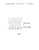 NON-INVASIVE SENSOR FOR DETERMINING  FUNCTIONAL CHARACTERISTICS OF THE     CORNEA, DEVICE INCLUDING SAID SENSOR AND USE THEREOF diagram and image