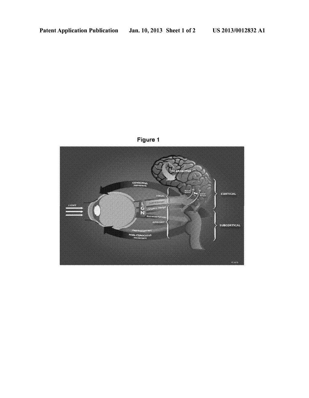 DEVICES FOR MODULATION OF RETINAL STIMULATION AND/OR RETINAL SIGNAL     PROCESSING AND METHODS OF USE THEREOF - diagram, schematic, and image 02