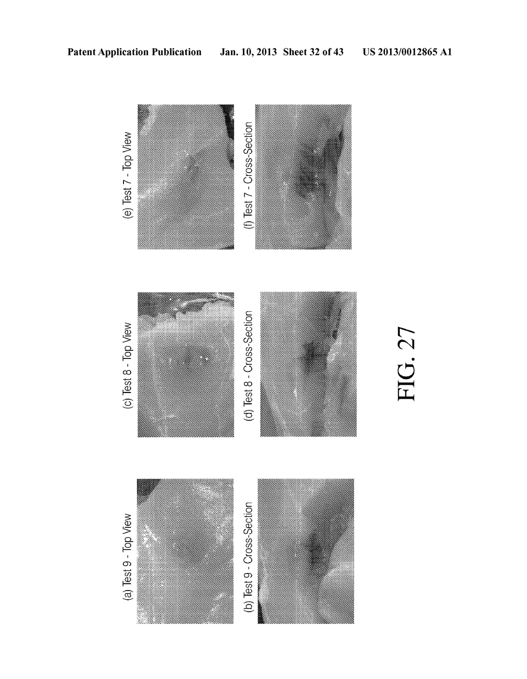 CODON-OPTIMZED HEPATITIS B VIRUS CORE ANTIGEN (HBCAG) - diagram, schematic, and image 33