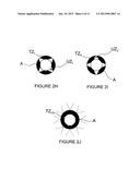 METHODS AND APPARATUS FOR PERFORMING A NON-CONTINUOUS CIRCUMFERENTIAL     TREATMENT OF A BODY LUMEN diagram and image