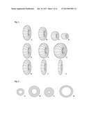 TOROIDAL PHARMACEUTICAL FORMULATIONS diagram and image