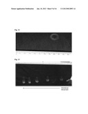 TOROIDAL PHARMACEUTICAL FORMULATIONS diagram and image