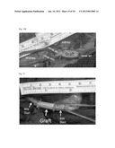 Tissue-Engineered Constructs diagram and image