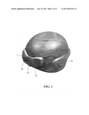 Method of Calibrating a Data Recording Unit diagram and image