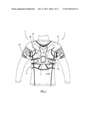 COMPLEMENTARY AND ADJUSTABLE PROTECTIVE SYSTEM diagram and image