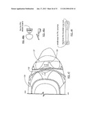 COMPLEMENTARY AND ADJUSTABLE PROTECTIVE SYSTEM diagram and image