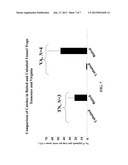 METHODS OF MONITORING AND CONTROLLING THE WALNUT TWIG BEETLE,     PITYOPHTHORUS JUGLANDIS diagram and image