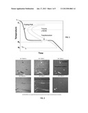 METHOD OF MAGNETICALLY PROCESSING AN IRON-CARBON ALLOYAANM Ludtka; Gerard M.AACI Oak RidgeAAST TNAACO USAAGP Ludtka; Gerard M. Oak Ridge TN USAANM Ludtka; Gail M.AACI Oak RidgeAAST TNAACO USAAGP Ludtka; Gail M. Oak Ridge TN USAANM Wilgen; John B.AACI Oak RidgeAAST TNAACO USAAGP Wilgen; John B. Oak Ridge TN USAANM Kisner; Roger A.AACI KnoxvilleAAST TNAACO USAAGP Kisner; Roger A. Knoxville TN US diagram and image