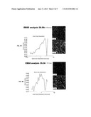 METHOD OF MAGNETICALLY PROCESSING AN IRON-CARBON ALLOYAANM Ludtka; Gerard M.AACI Oak RidgeAAST TNAACO USAAGP Ludtka; Gerard M. Oak Ridge TN USAANM Ludtka; Gail M.AACI Oak RidgeAAST TNAACO USAAGP Ludtka; Gail M. Oak Ridge TN USAANM Wilgen; John B.AACI Oak RidgeAAST TNAACO USAAGP Wilgen; John B. Oak Ridge TN USAANM Kisner; Roger A.AACI KnoxvilleAAST TNAACO USAAGP Kisner; Roger A. Knoxville TN US diagram and image