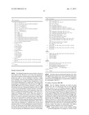 HANDHELD IMAGING DEVICE WITH IMAGE PROCESSOR PROVIDED WITH MULTIPLE     PARALLEL PROCESSING UNITS diagram and image