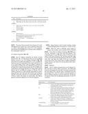 QUAD-CORE IMAGE PROCESSOR FOR FACIAL DETECTION diagram and image