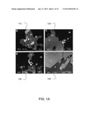 METHOD AND APPARATUS FOR GOLD DETECTIONAANM Kendall; James D.AACI AjaxAACO CAAAGP Kendall; James D. Ajax CA diagram and image