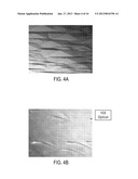 Surface Morphology of Non-Polar Gallium Nitride Containing Substrates diagram and image